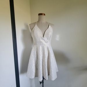Windsor Pearl Finish Lace Skater Dress